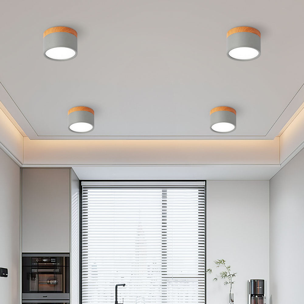 Scandinavian Style Ceiling Light
