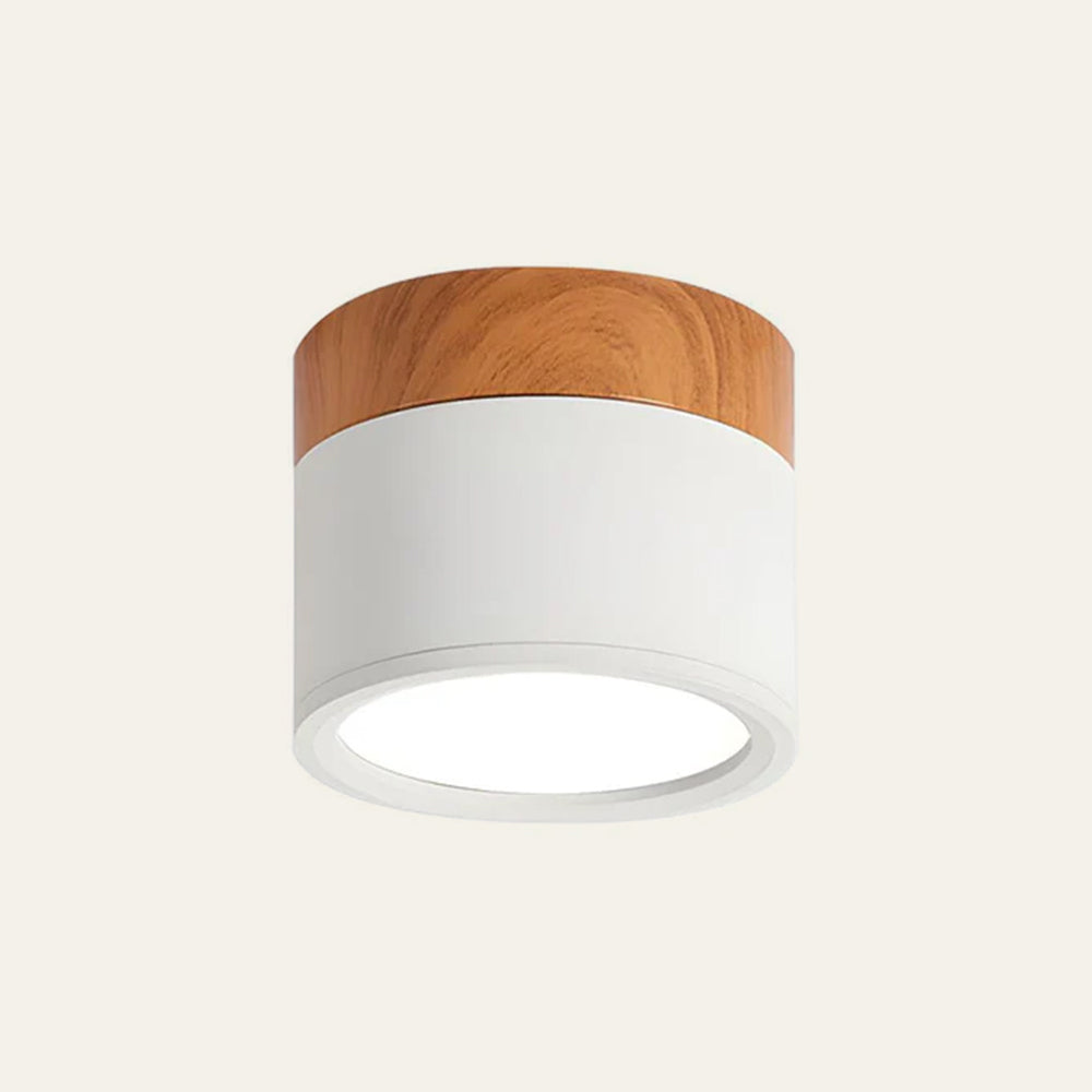 Scandinavian Style Ceiling Light