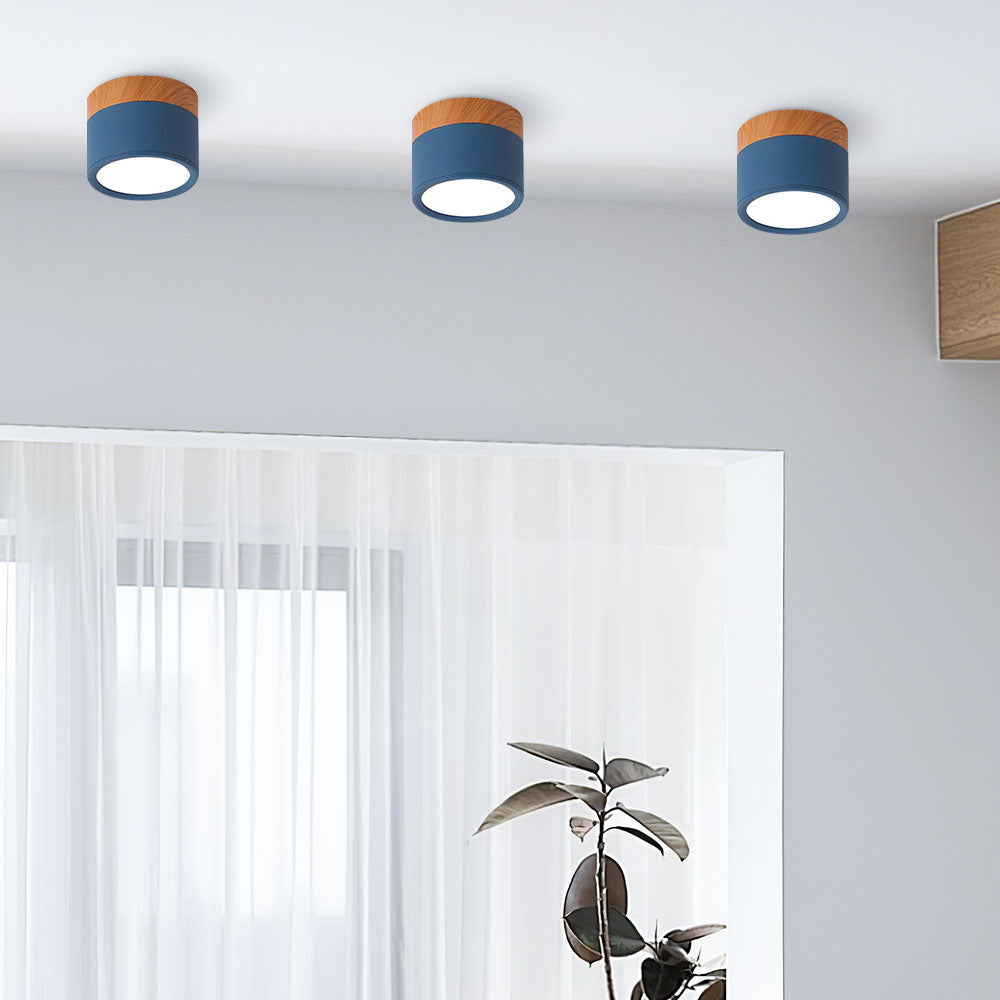 Scandinavian Style Ceiling Light