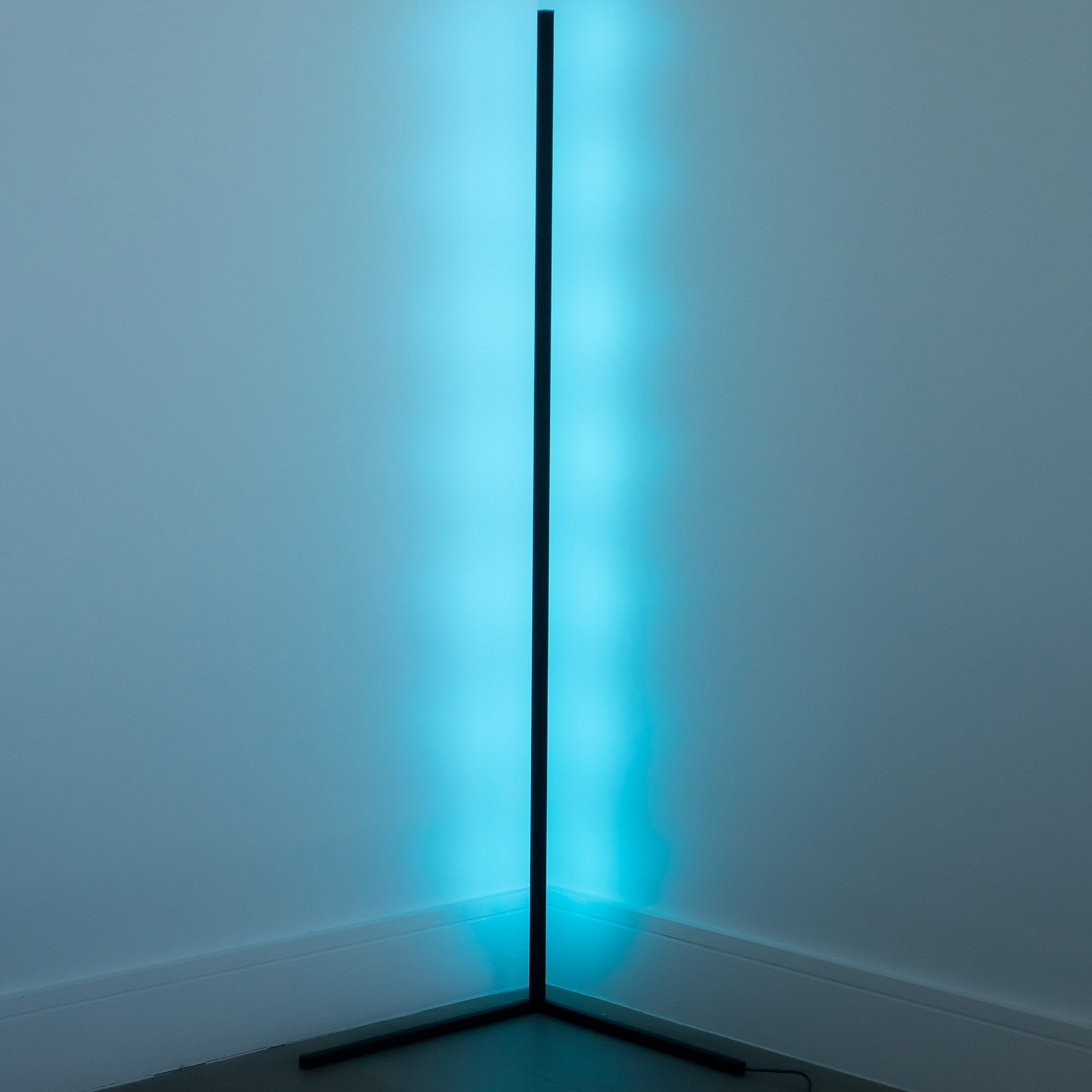 Modern Dimmable Corner Floor Lamp