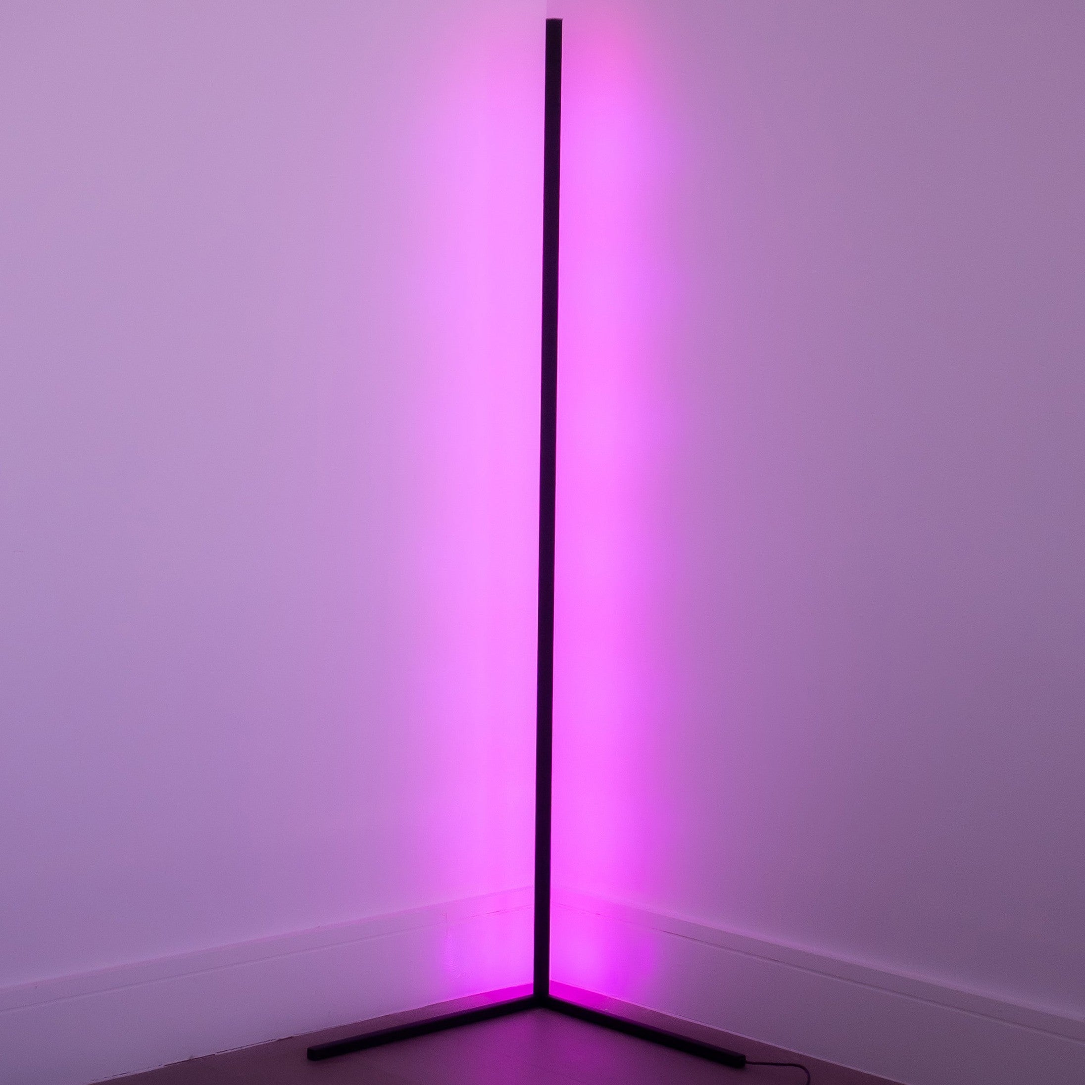 Modern Dimmable Corner Floor Lamp
