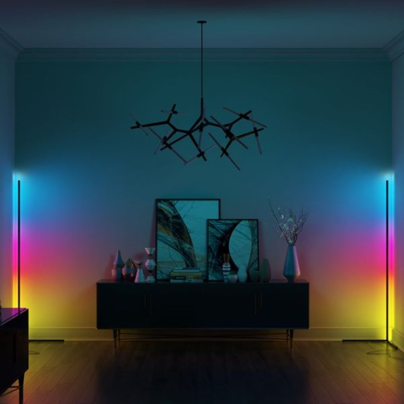 Modern Dimmable Corner Floor Lamp