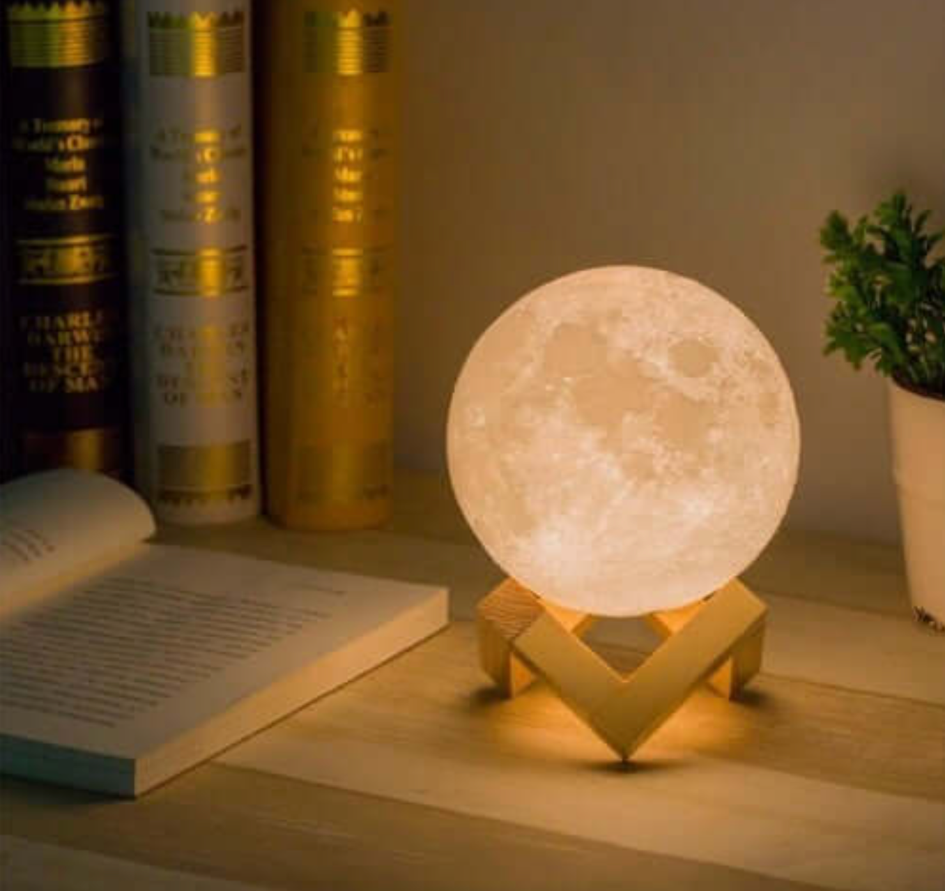 Japandi Moon Table Lamp