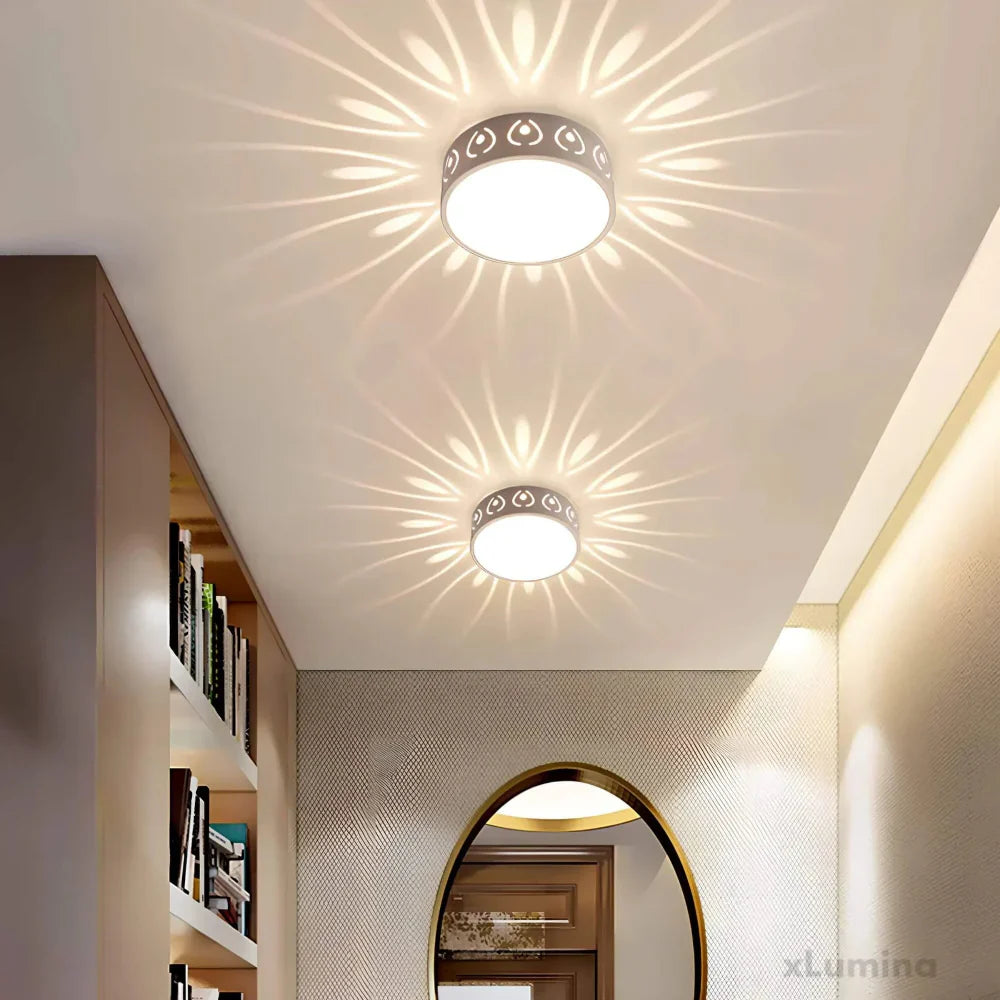 Contemporary Energy Saving LED Ceiling Light