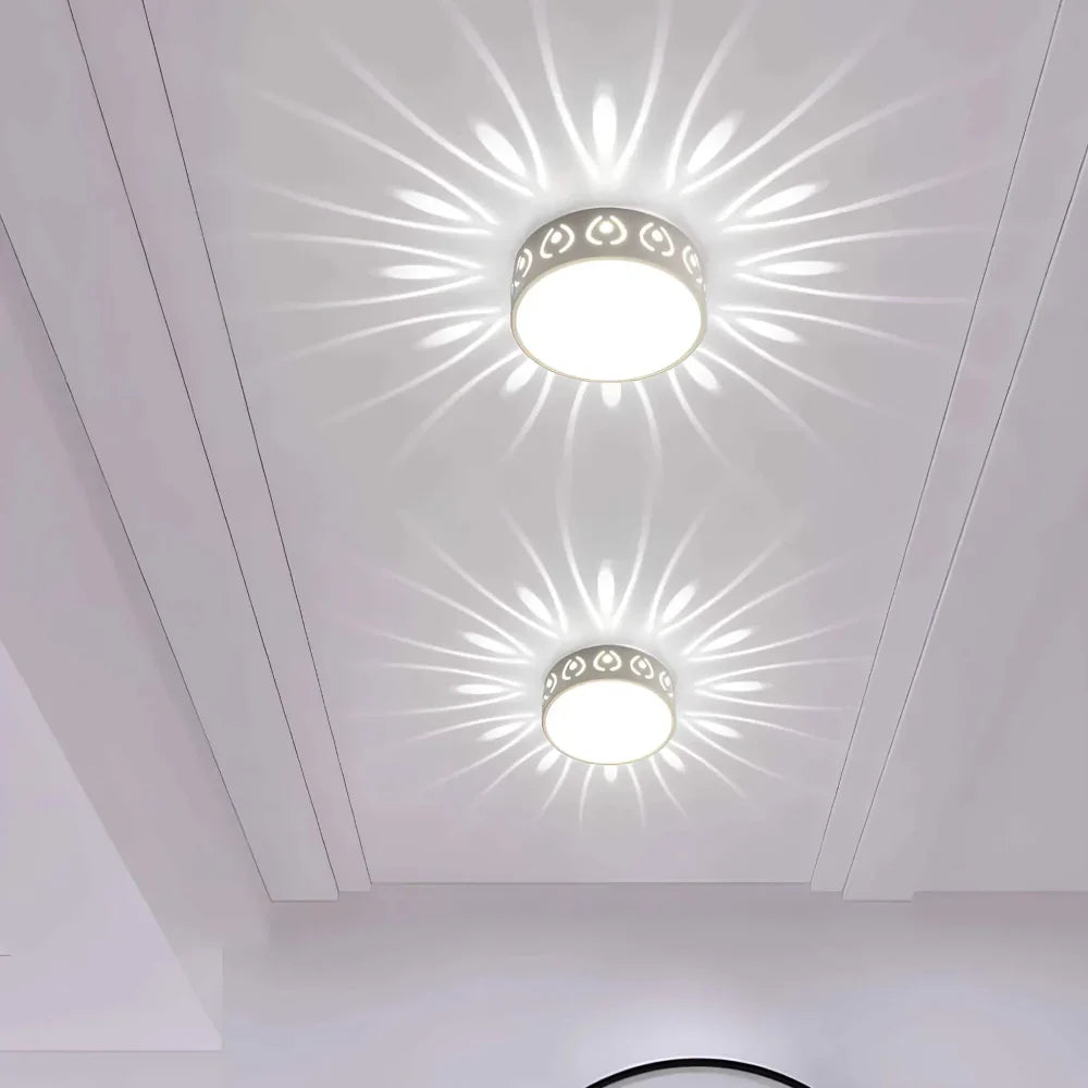 Contemporary Energy Saving LED Ceiling Light