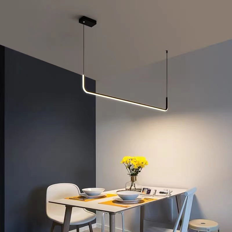 Contemporary Minimalist Double Frame Linear LED Pendant Light