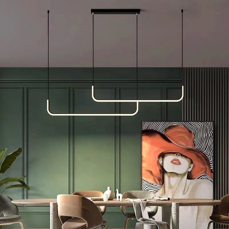 Contemporary Minimalist Double Frame Linear LED Pendant Light