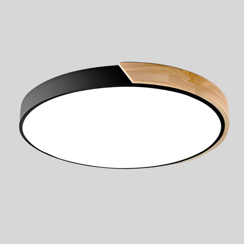 Contemporary Round LED Ceiling Light