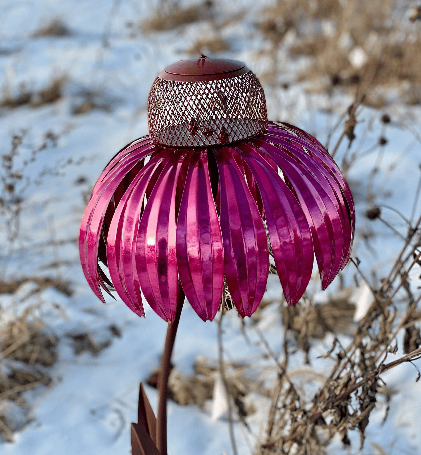 Cone Flower Bird Feeder