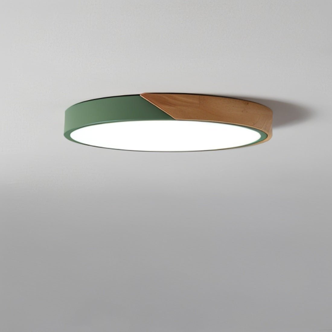 Contemporary Style Dimmable LED Ceiling Light