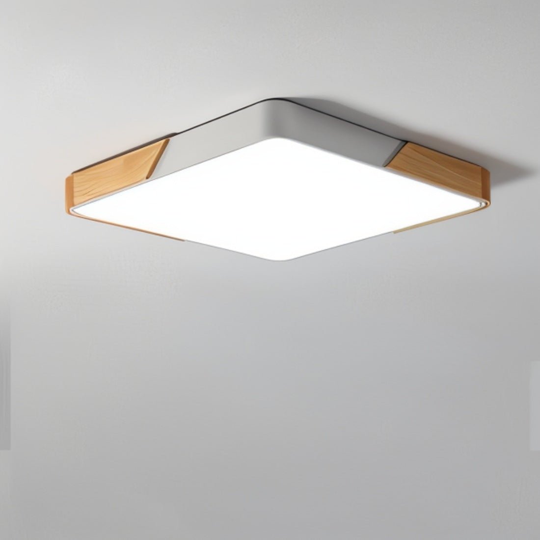 Contemporary Style Dimmable LED Ceiling Light