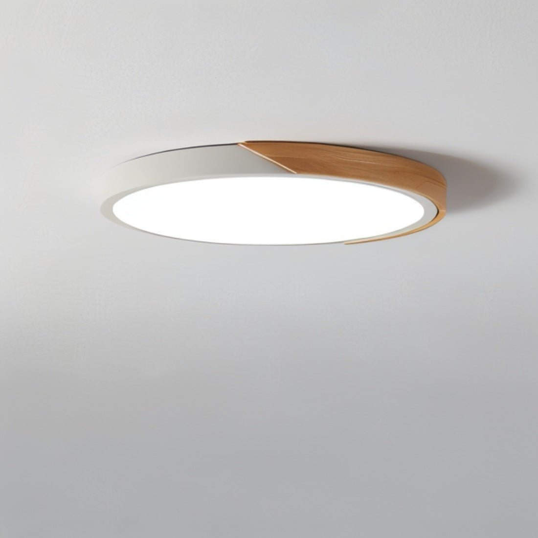 Contemporary Style Dimmable LED Ceiling Light