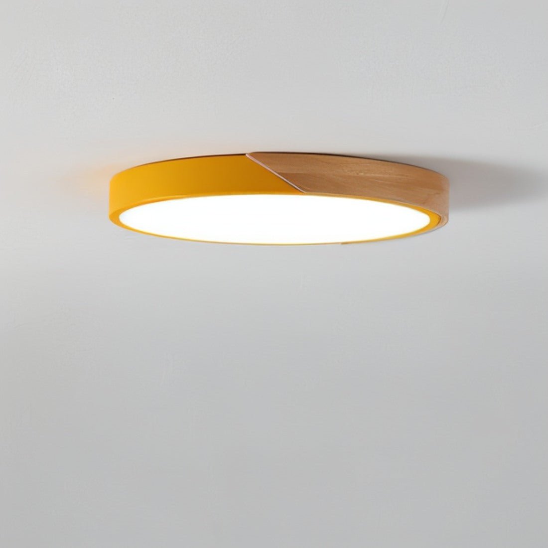 Contemporary Style Dimmable LED Ceiling Light