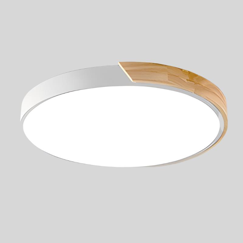 Contemporary Round LED Ceiling Light