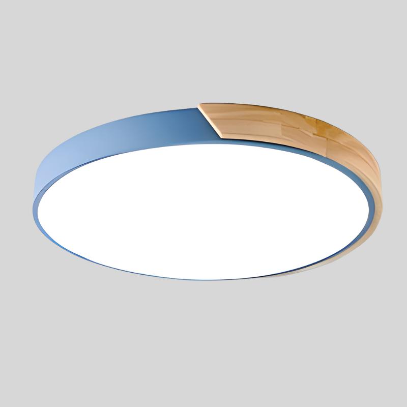 Contemporary Round LED Ceiling Light