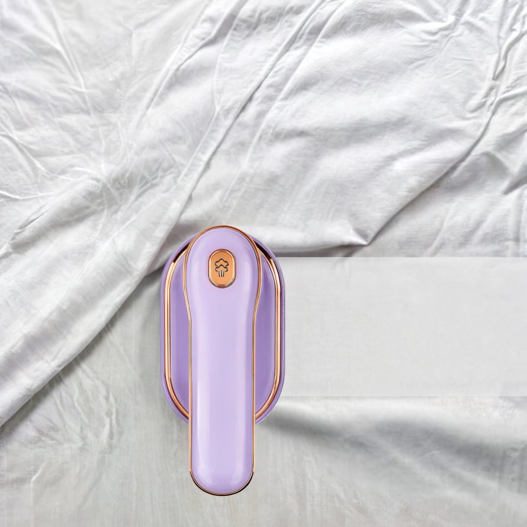 Portable Micro Steam Iron