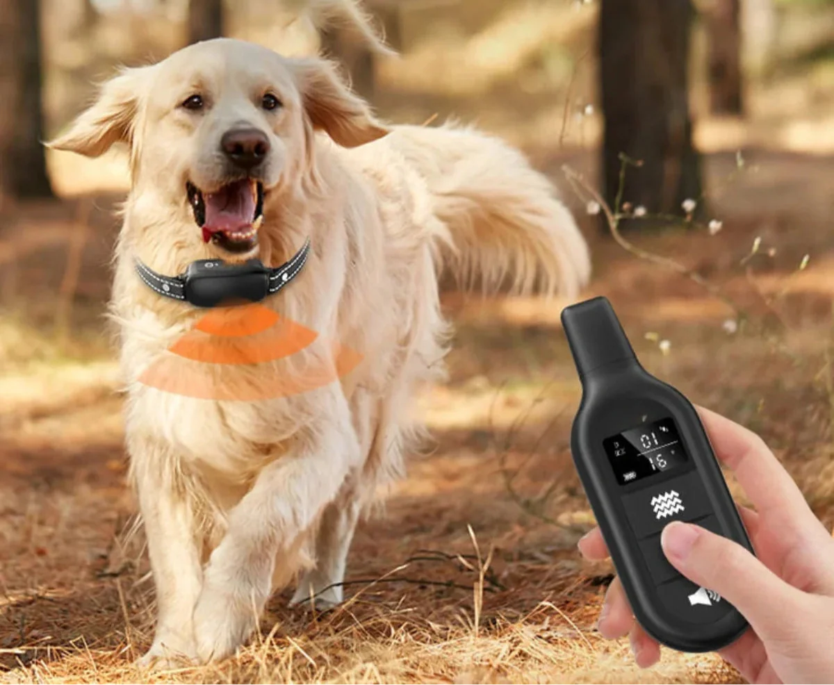 Remote Dog Training Collar