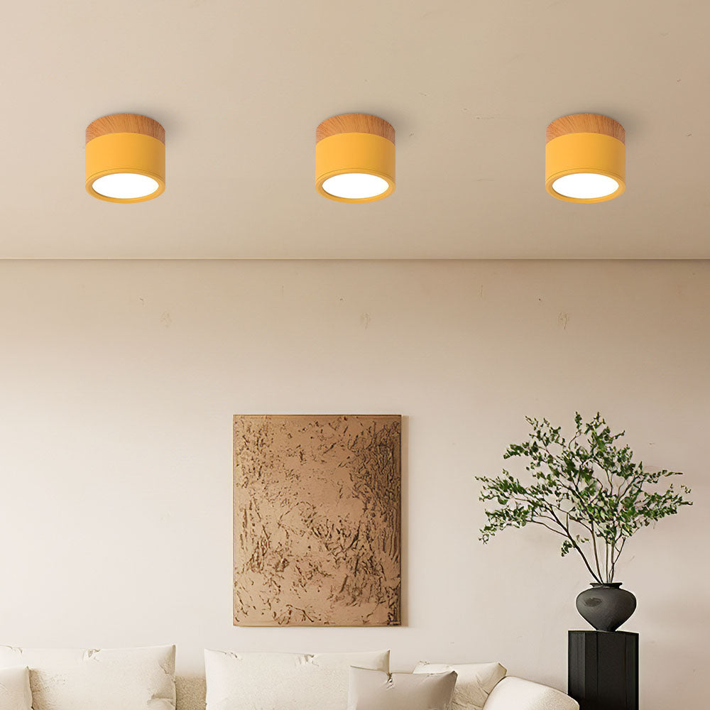 Scandinavian Style Ceiling Light
