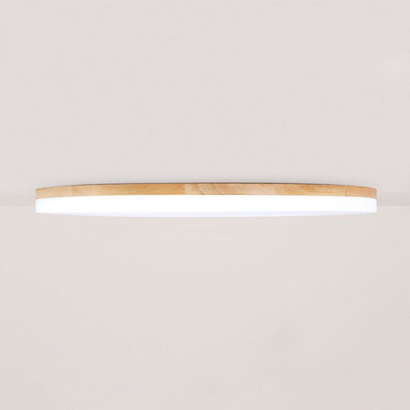 Modern LED Flush Mount Ceiling Light