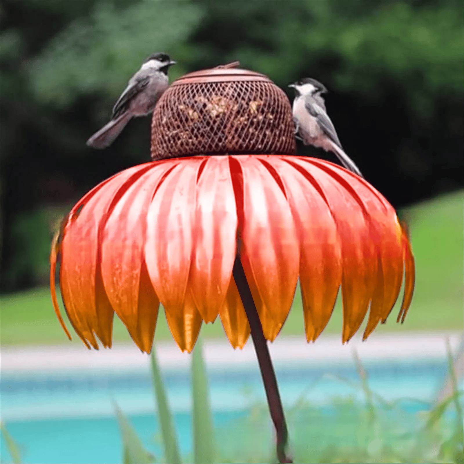 Cone Flower Bird Feeder