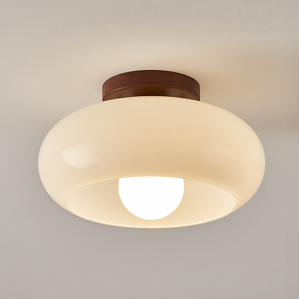 Vintage Ceiling Light for Hallway and Bedroom