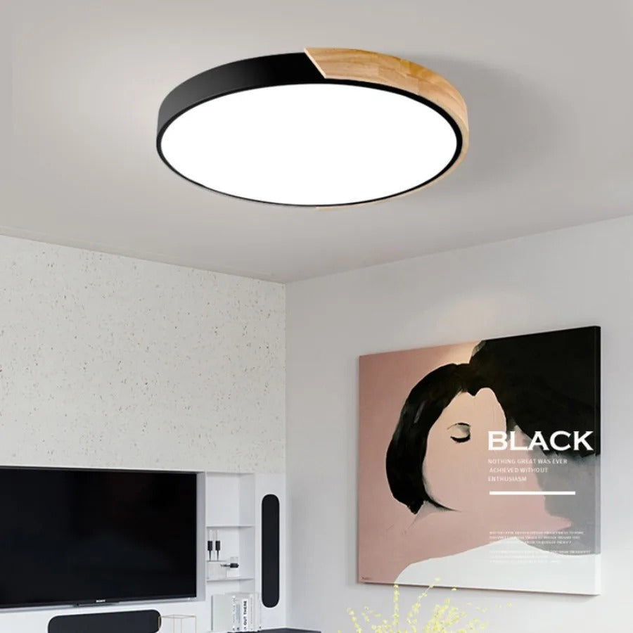 Contemporary Round LED Ceiling Light