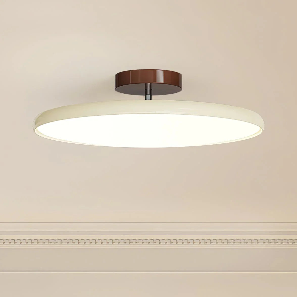 Minimalist Adjustable LED Ceiling Light
