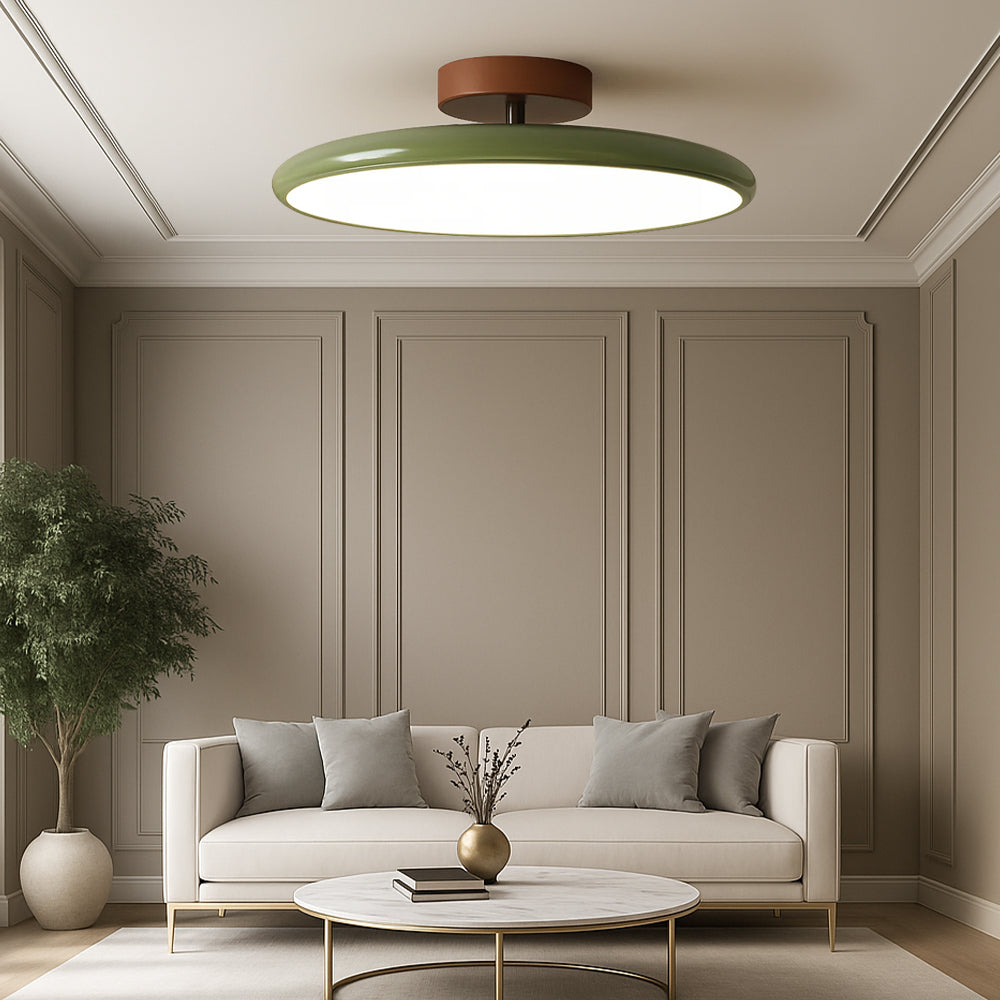 Minimalist Adjustable LED Ceiling Light