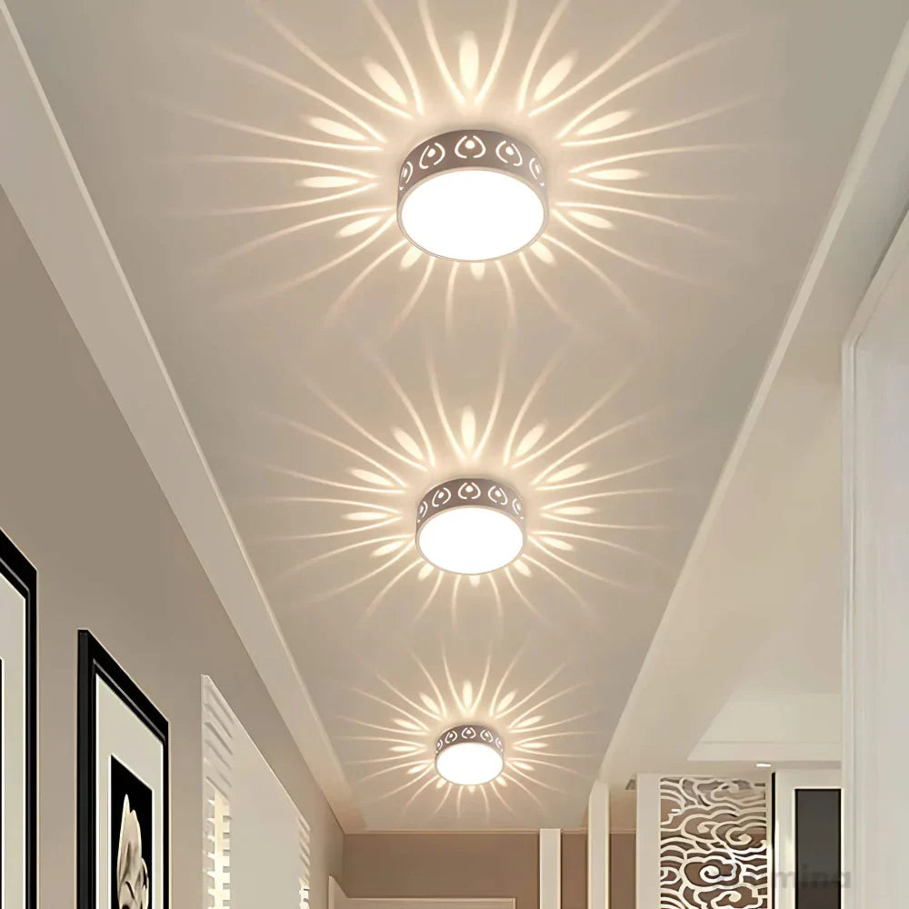 Contemporary Energy Saving LED Ceiling Light