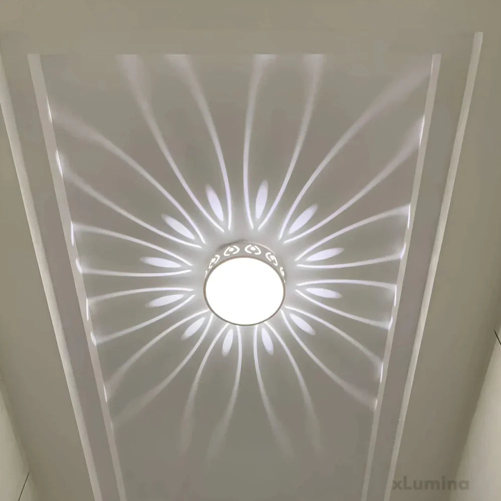 Contemporary Energy Saving LED Ceiling Light