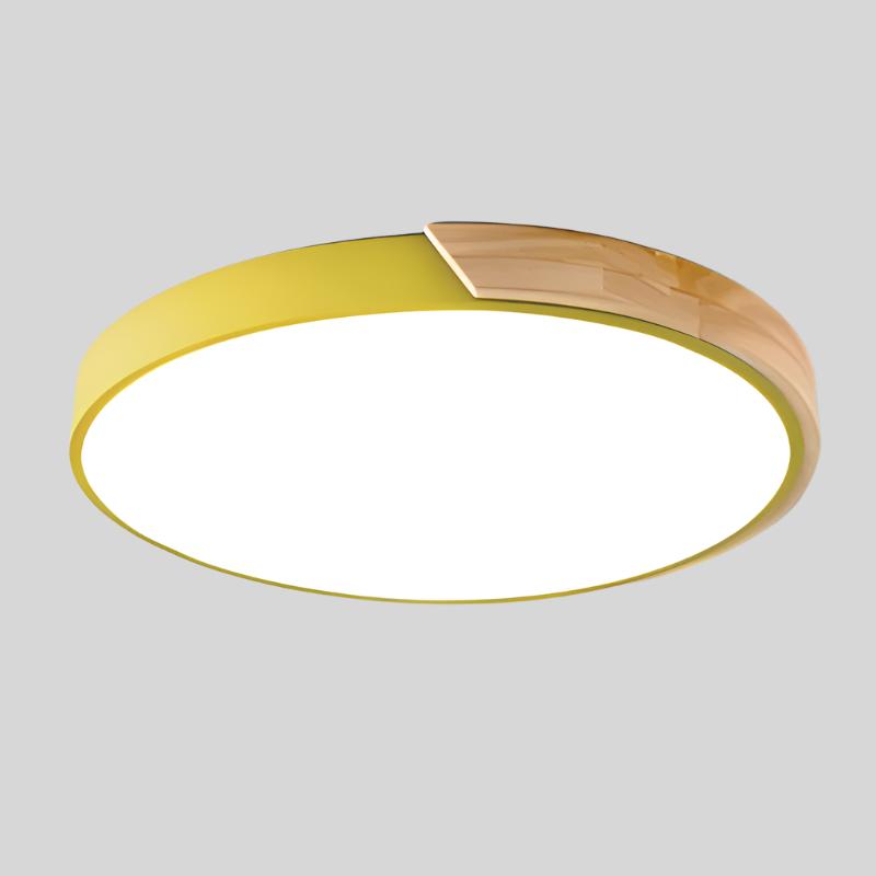 Contemporary Round LED Ceiling Light