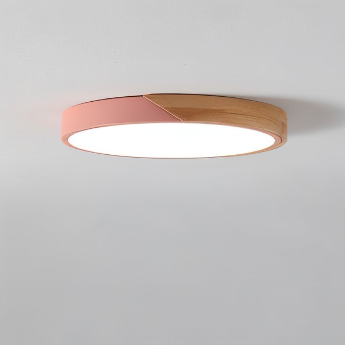 Contemporary Style Dimmable LED Ceiling Light