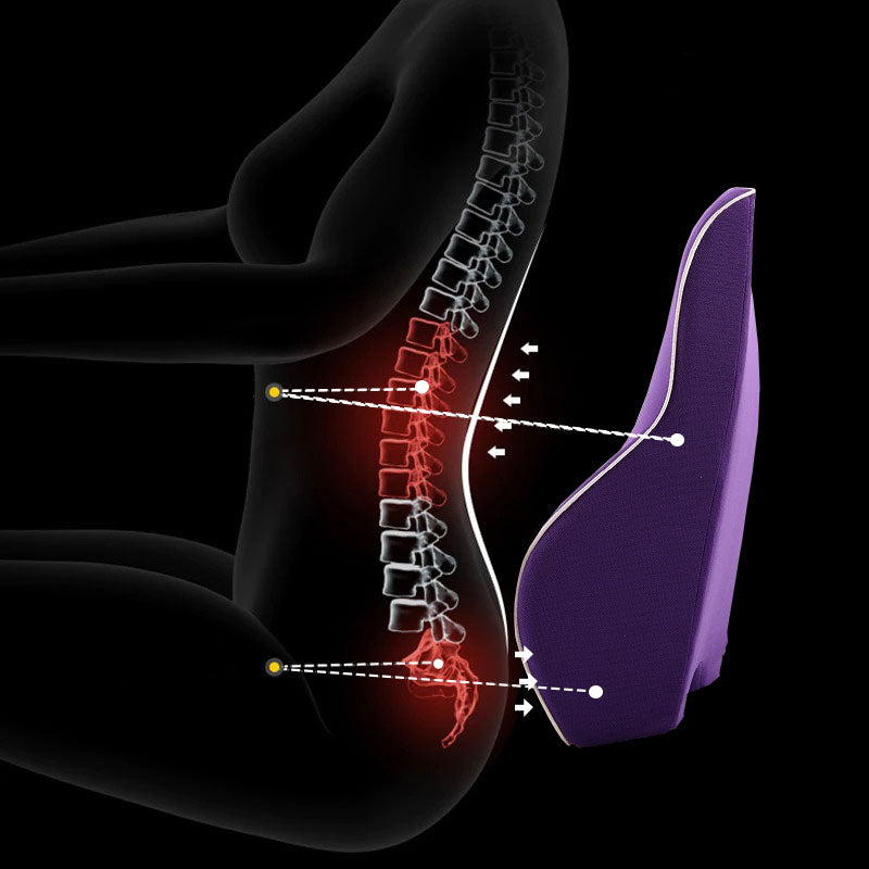 Contoured Back Cushion for Car Seats, Office Chairs & Long Drives