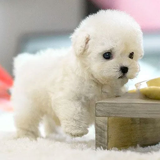 Realistic Interactive Puppy Toy for Kids